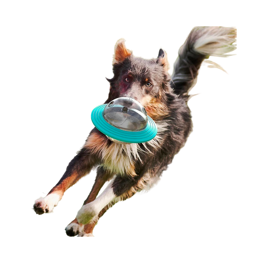 BOLA OVNI ALIMENTADOR PARA PERROS