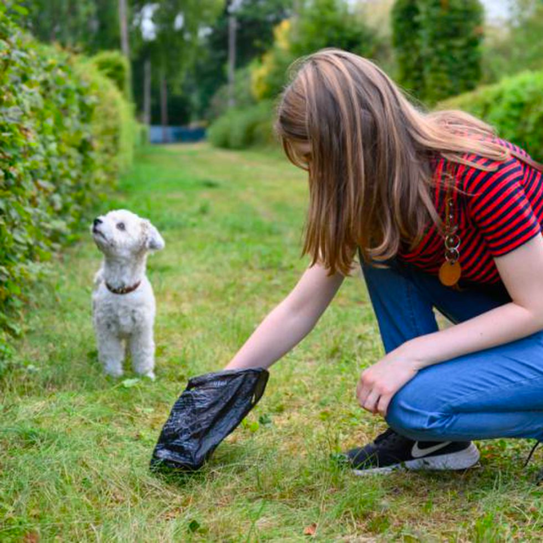 BOLSAS PET DESECHABLES (SET X 3 PACKS)